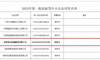 桂冶机械入选2025年度创新型中小企业